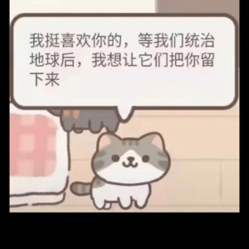 我的小猫是世界上最可