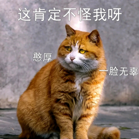 这只最近爆火的故宫网红猫是咱们中华田园猫吗？