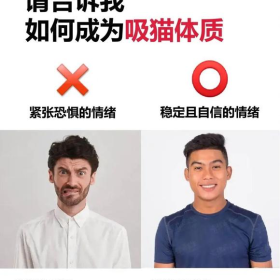 如何成为吸猫体质？今