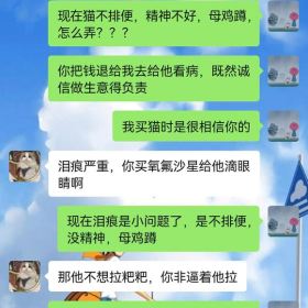 我在淘宝买猫的经历