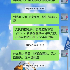 我在淘宝买猫的经历