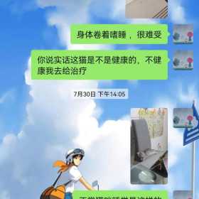 我在淘宝买猫的经历