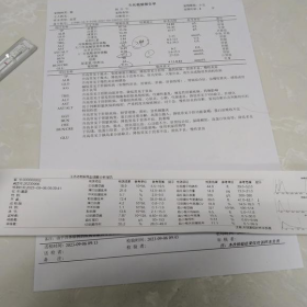 大宝究竟是不是胰腺炎啊？