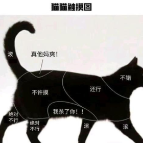 撸猫和撸狗